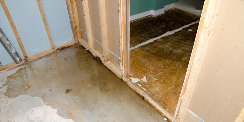 Water Damage in Advance, North Carolina