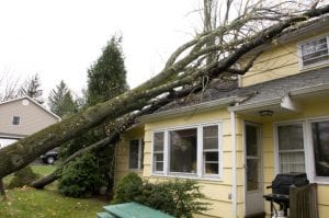 you need to know about storm damage