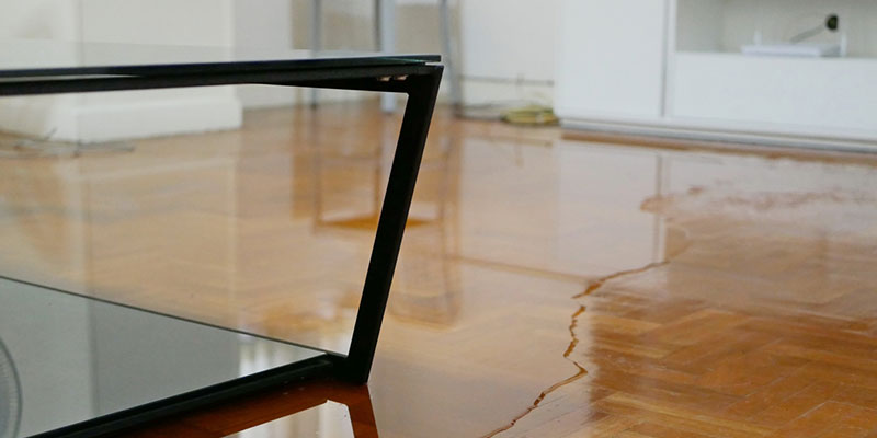 Five Steps to Take Immediately After Water Damage 