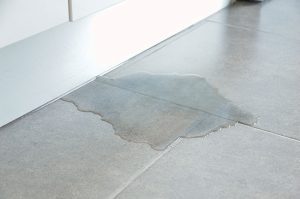Signs Your Property Has Water Damage