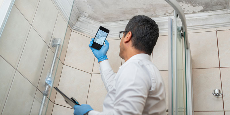 4 Signs Your Home Needs Mold Testing