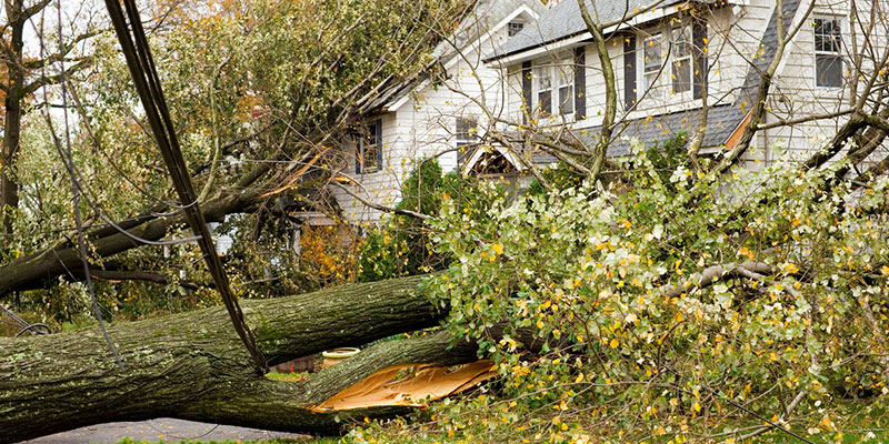 5 Ways We Can Help After Storm Damage