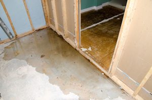 What to Do When You Need Water Removal