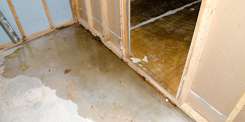 What to Do When You Need Water Removal