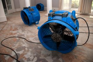 What to Look for in Disaster Restoration Companies